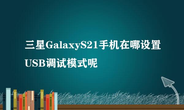 三星GalaxyS21手机在哪设置USB调试模式呢