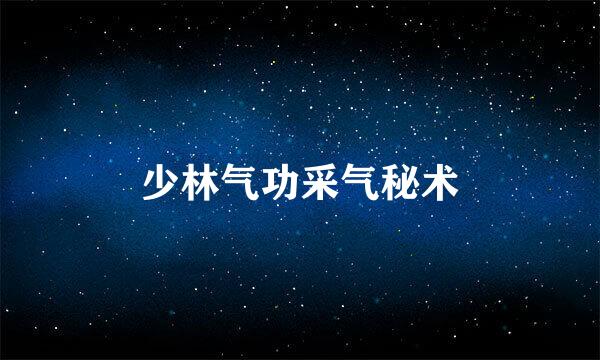 少林气功采气秘术