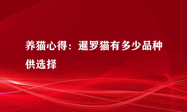 养猫心得：暹罗猫有多少品种供选择