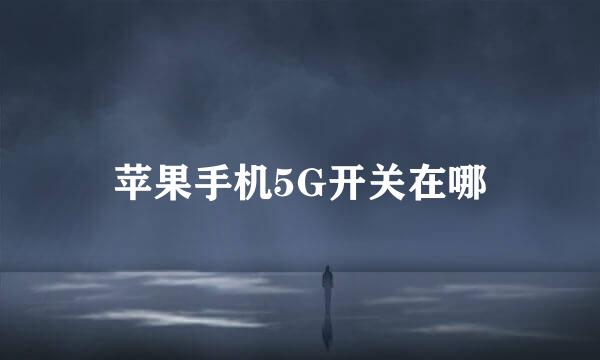 苹果手机5G开关在哪