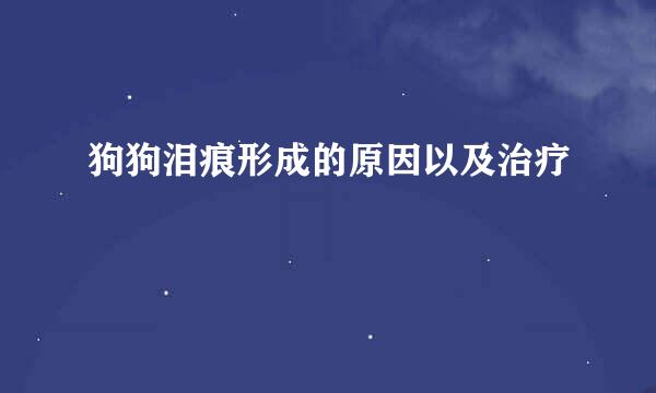 狗狗泪痕形成的原因以及治疗