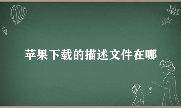 苹果下载的描述文件在哪