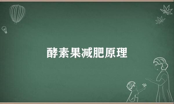 酵素果减肥原理