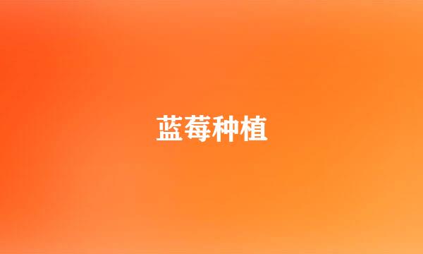 蓝莓种植