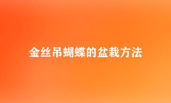 金丝吊蝴蝶的盆栽方法
