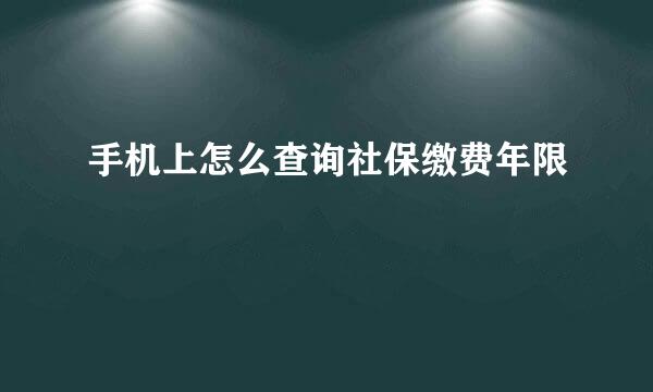 手机上怎么查询社保缴费年限