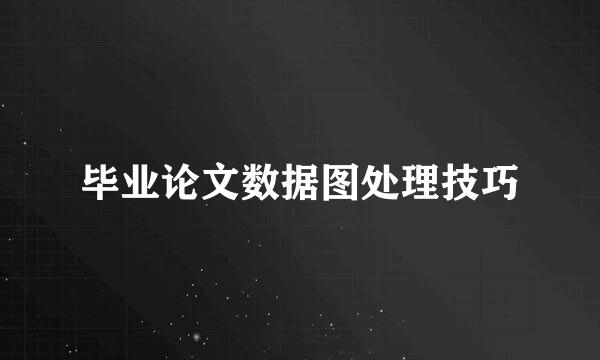 毕业论文数据图处理技巧