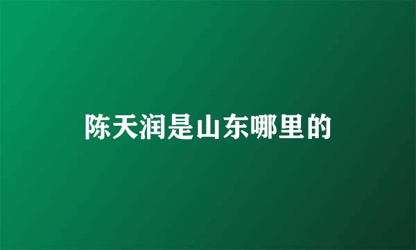 陈天润是山东哪里的