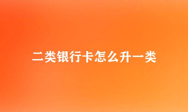二类银行卡怎么升一类