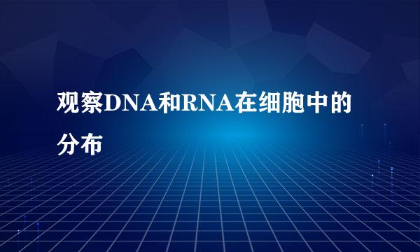 观察DNA和RNA在细胞中的分布