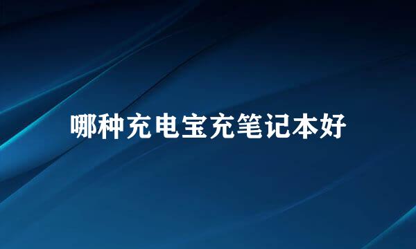 哪种充电宝充笔记本好
