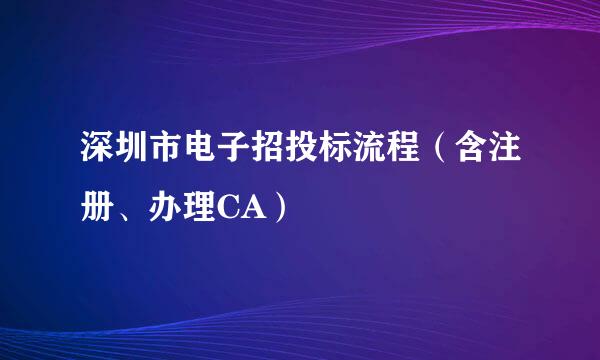 深圳市电子招投标流程（含注册、办理CA）