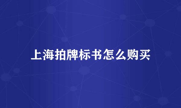 上海拍牌标书怎么购买