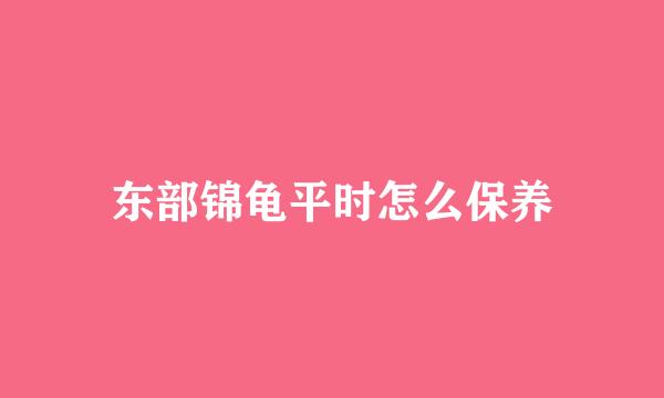 东部锦龟平时怎么保养