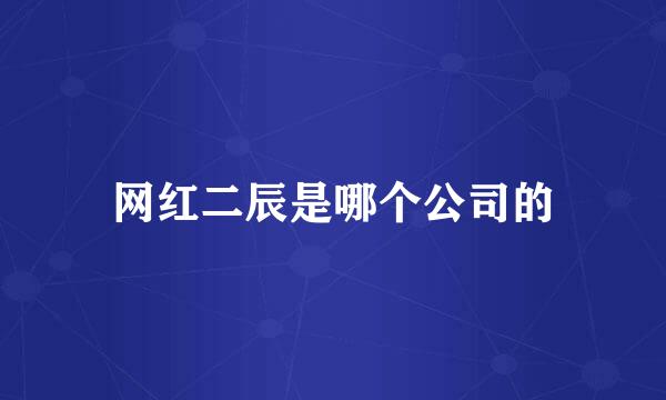网红二辰是哪个公司的
