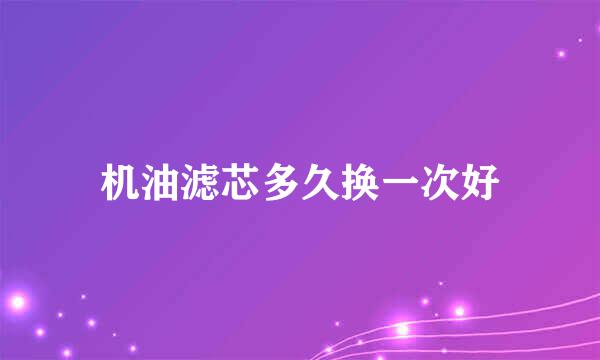 机油滤芯多久换一次好
