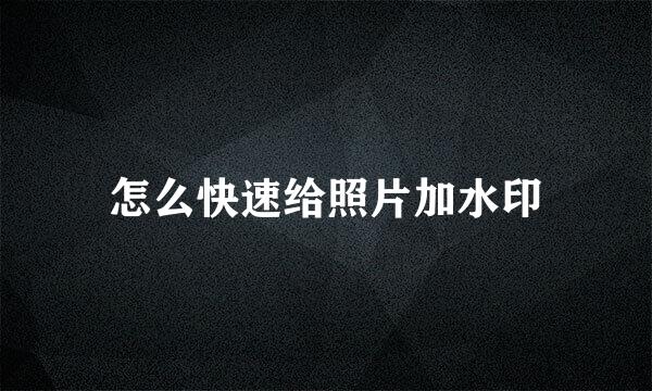 怎么快速给照片加水印