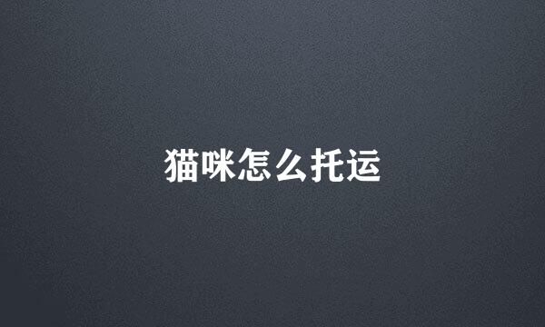 猫咪怎么托运