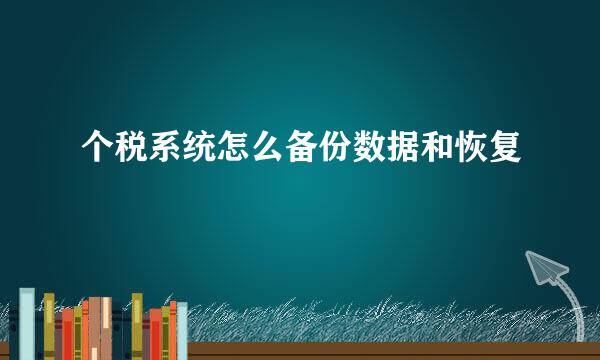 个税系统怎么备份数据和恢复