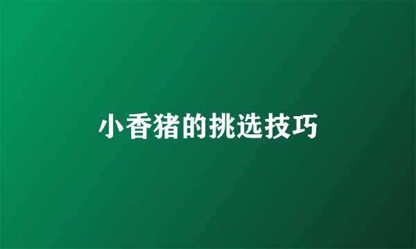 小香猪的挑选技巧