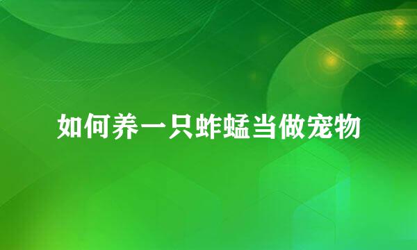 如何养一只蚱蜢当做宠物