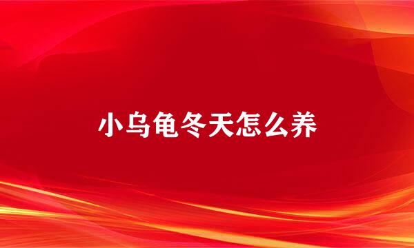 小乌龟冬天怎么养