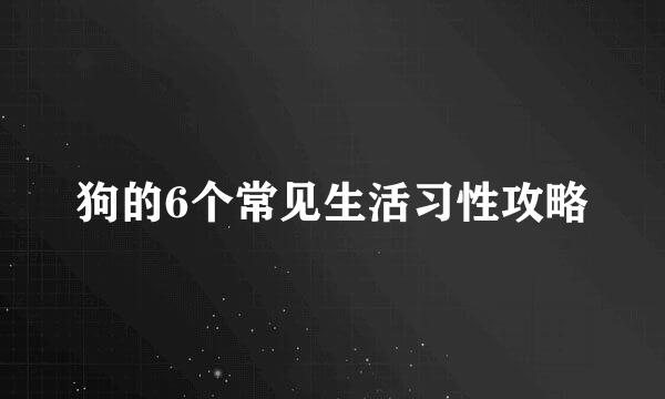 狗的6个常见生活习性攻略