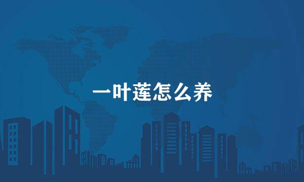 一叶莲怎么养