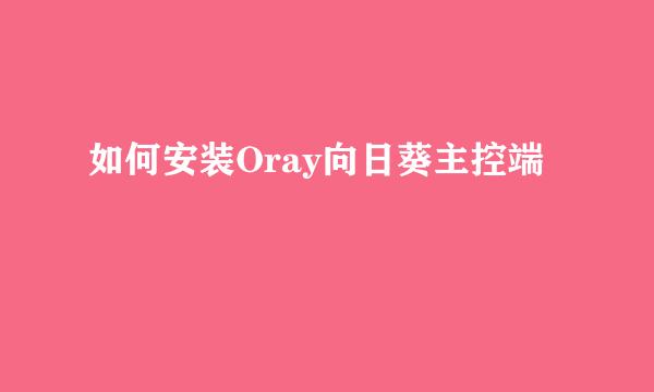 如何安装Oray向日葵主控端