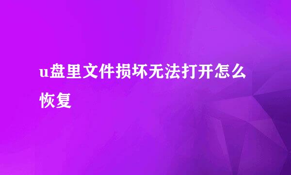 u盘里文件损坏无法打开怎么恢复