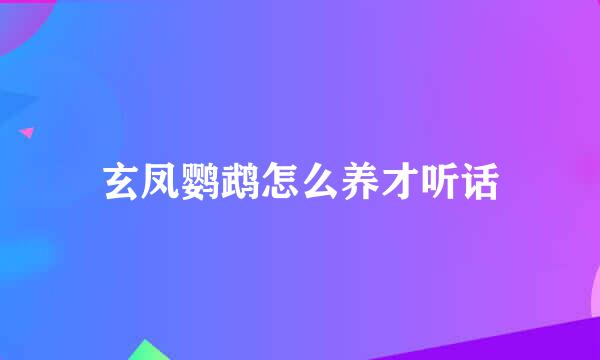 玄凤鹦鹉怎么养才听话