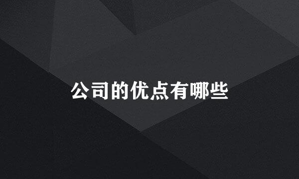 公司的优点有哪些