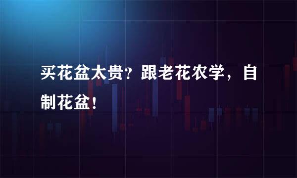 买花盆太贵？跟老花农学，自制花盆！