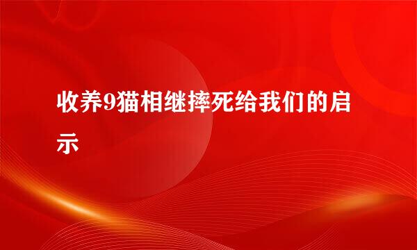 收养9猫相继摔死给我们的启示