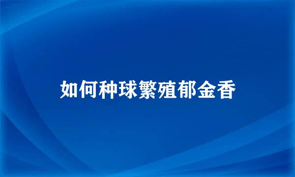 如何种球繁殖郁金香