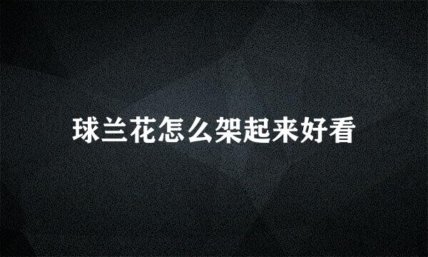 球兰花怎么架起来好看
