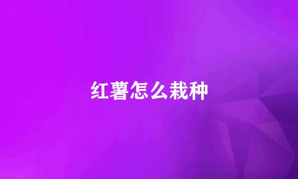 红薯怎么栽种