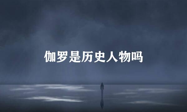 伽罗是历史人物吗