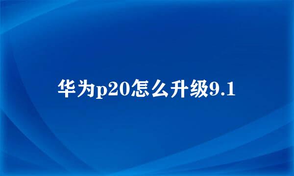 华为p20怎么升级9.1