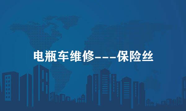 电瓶车维修---保险丝