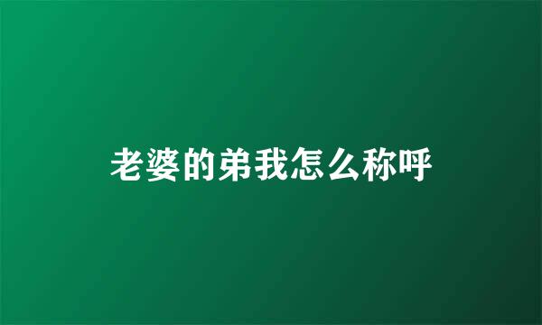 老婆的弟我怎么称呼
