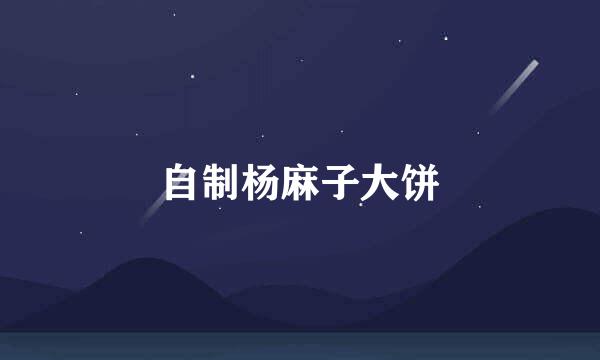 自制杨麻子大饼