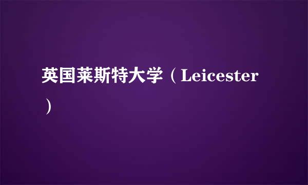 英国莱斯特大学（Leicester）