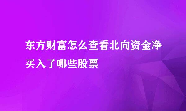 东方财富怎么查看北向资金净买入了哪些股票