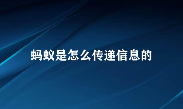 蚂蚁是怎么传递信息的