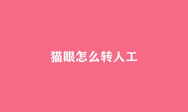 猫眼怎么转人工
