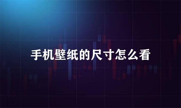 手机壁纸的尺寸怎么看
