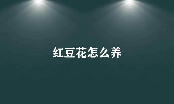 红豆花怎么养