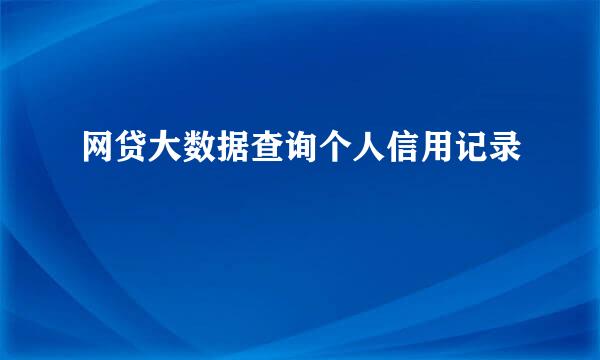 网贷大数据查询个人信用记录