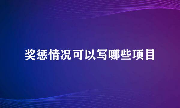 奖惩情况可以写哪些项目